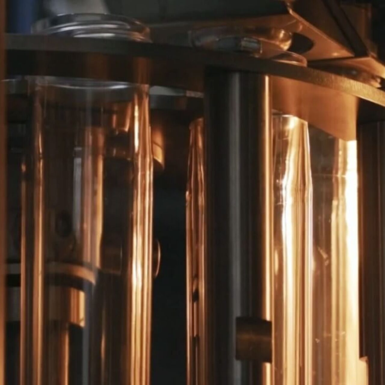 Tłuszcze w butelkach Rafsol