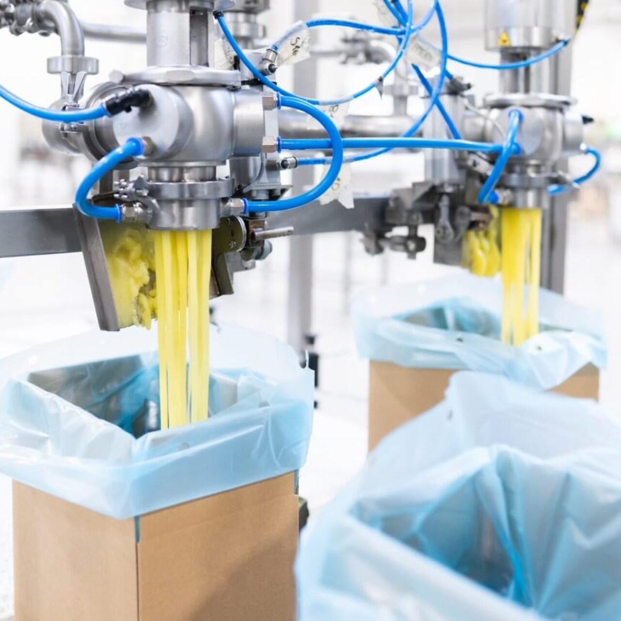 Tłuszcze i frytury w opakowaniach kartonowych, w kartonach