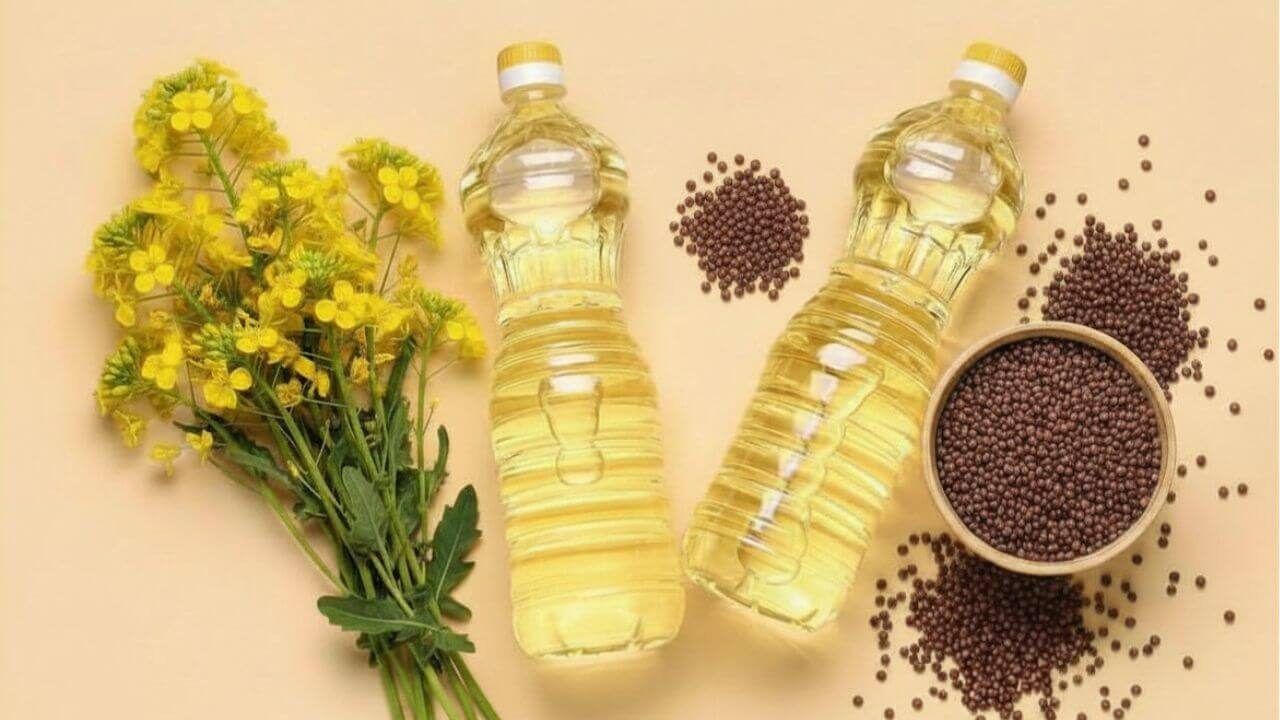 Jak powstaje olej rzepakowy? Produkcja oleju rzepakowego