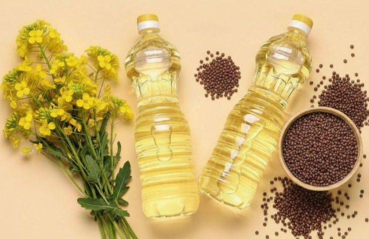 Jak powstaje olej rzepakowy? Produkcja oleju rzepakowego