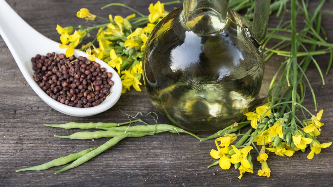 Olej rzepakowy właściwości – skład, wartości odżywcze i zastosowania przemysłowe