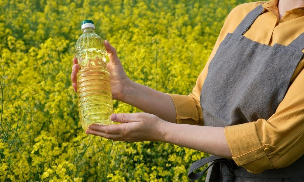 produkcja oleju rzepakowego olej rzepakowy producent smażenie właściwości