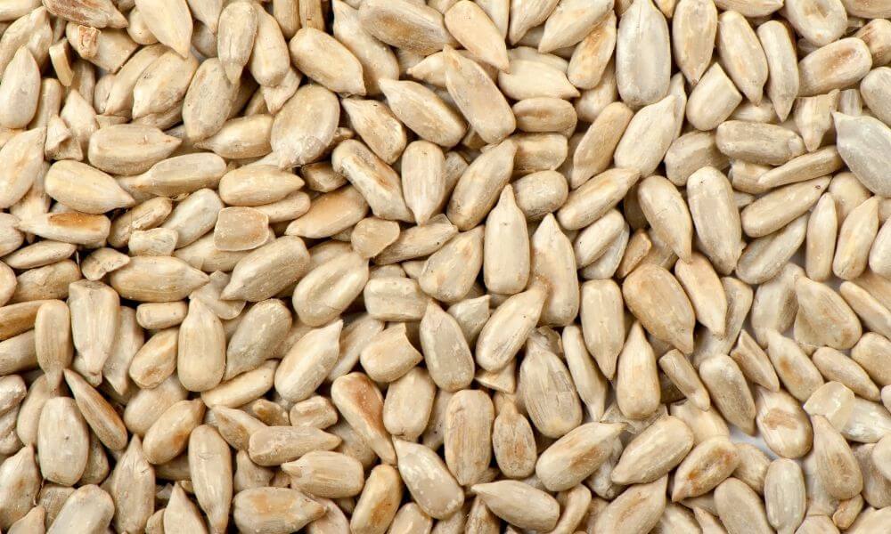 produkcja oleju słonecznikowego olej słonecznikowy producent