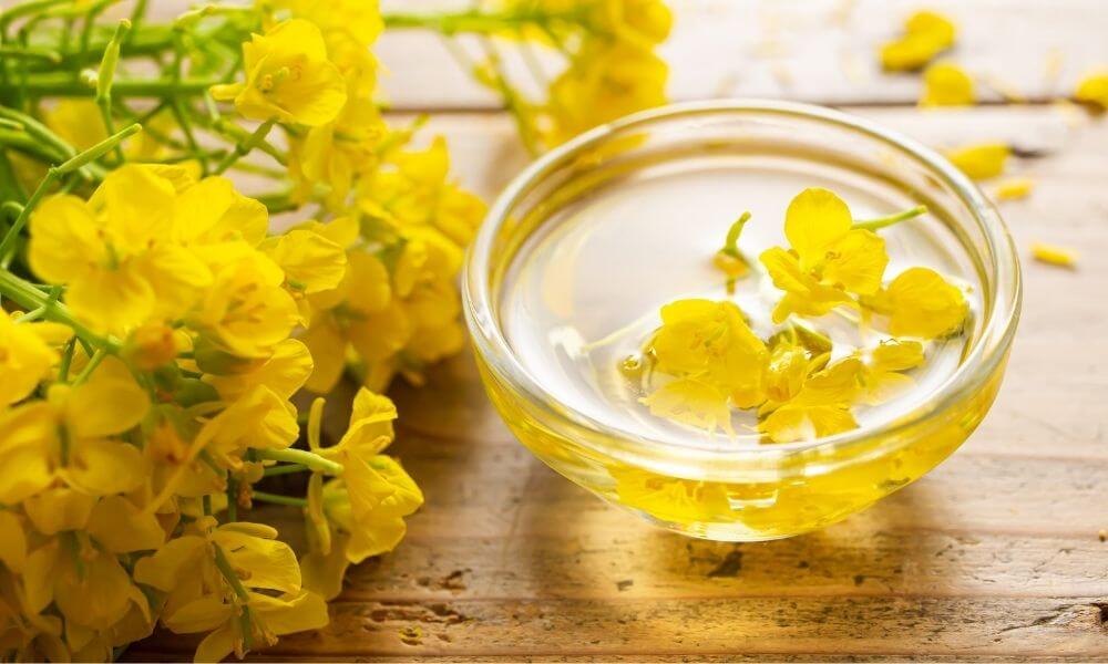 produkcja oleju rzepakowego olej rzepakowy producent smażenie właściwości