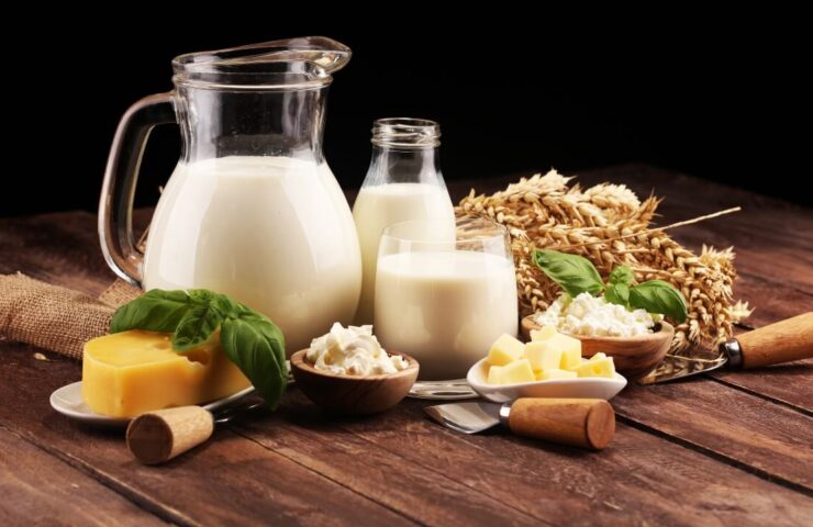 Tłuszcze roślinne w przemyśle mleczarskim – zamienniki sera i śmietany