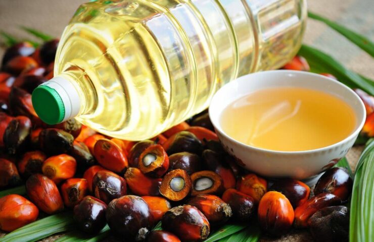 Olej palmowy i tłuszcz palmowy – produkcja, właściwości i zastosowanie w przemyśle